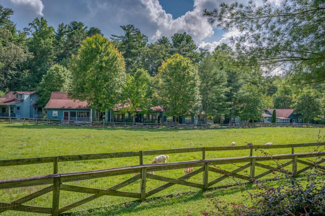 Buttercup Cottage Asheville Kültér fotó
