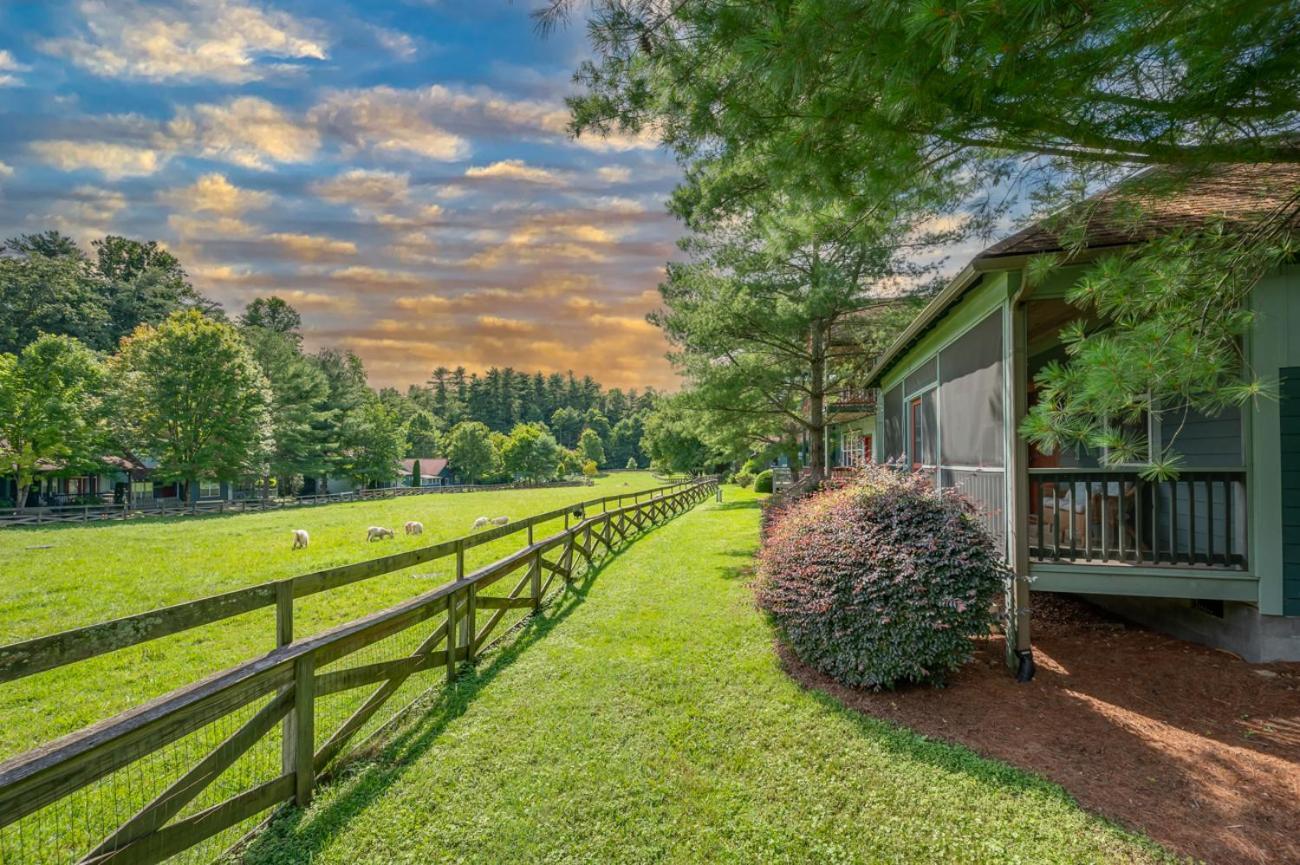 Buttercup Cottage Asheville Kültér fotó